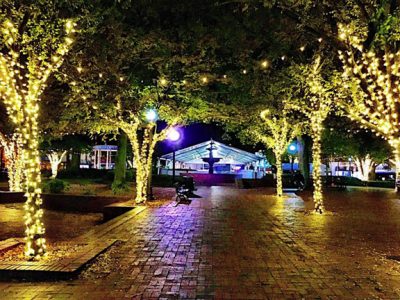 WINTER WONDERLAND OPENS AND MORE FUN EVENTS